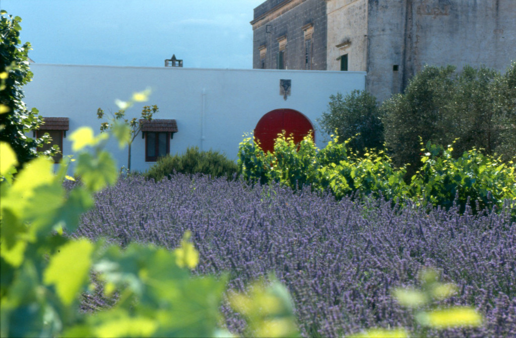 Masseria